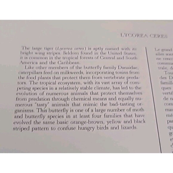 Butterflies Of The World Stamps Collection Lot Of 28 - Picture 9 of 10